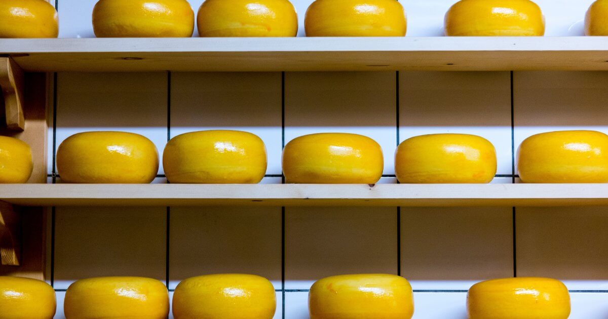 Does Eating Cheese Actually Increase Breast Cancer Risk?