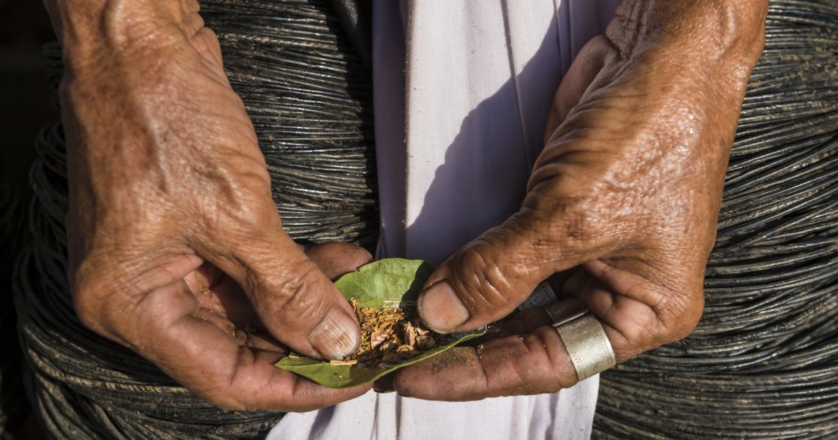 This Highly Addictive Nut Is Contributing to Spikes in Oral Cancer in